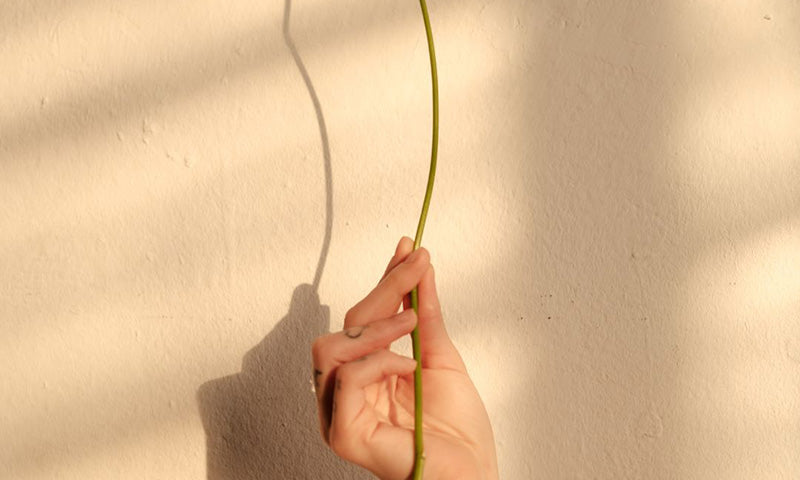 notPERFECTLINEN-Ethics