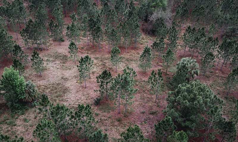 notPERFECTLINEN-reducing_landfill_waste